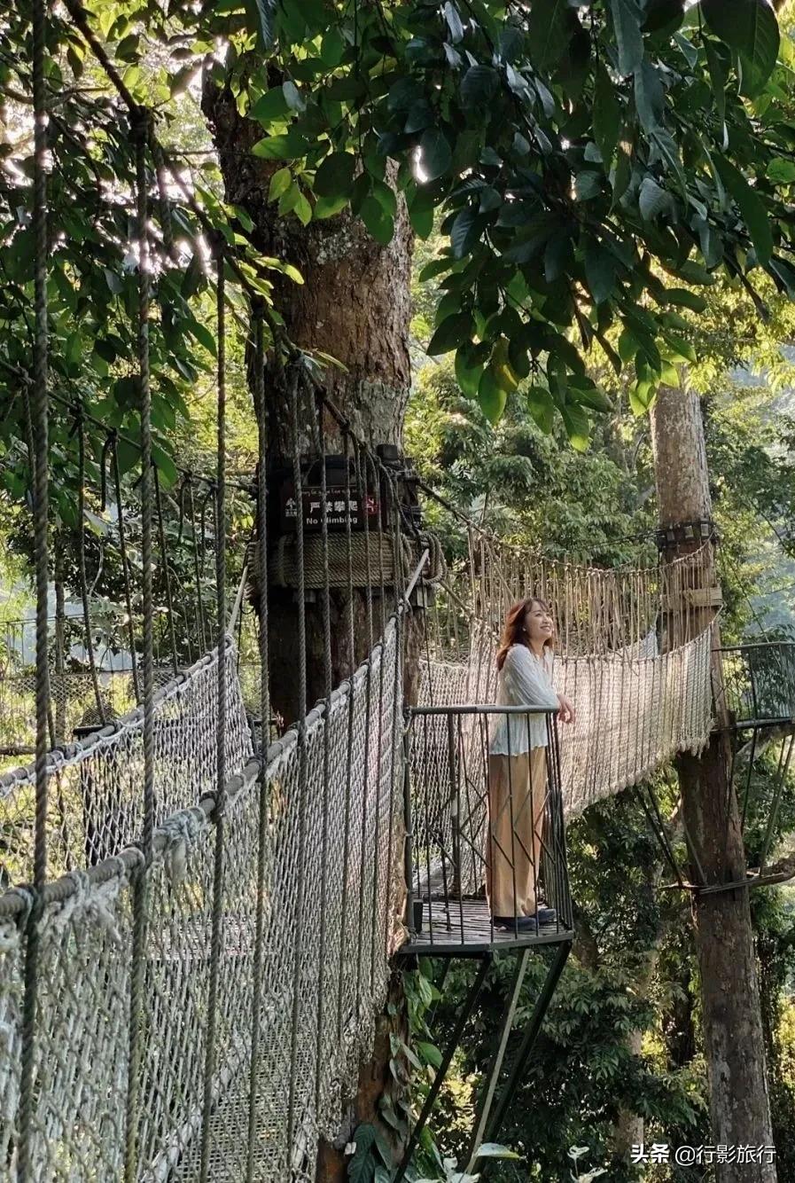 介绍一下云南的西双版纳,云南西双版纳的介绍景点