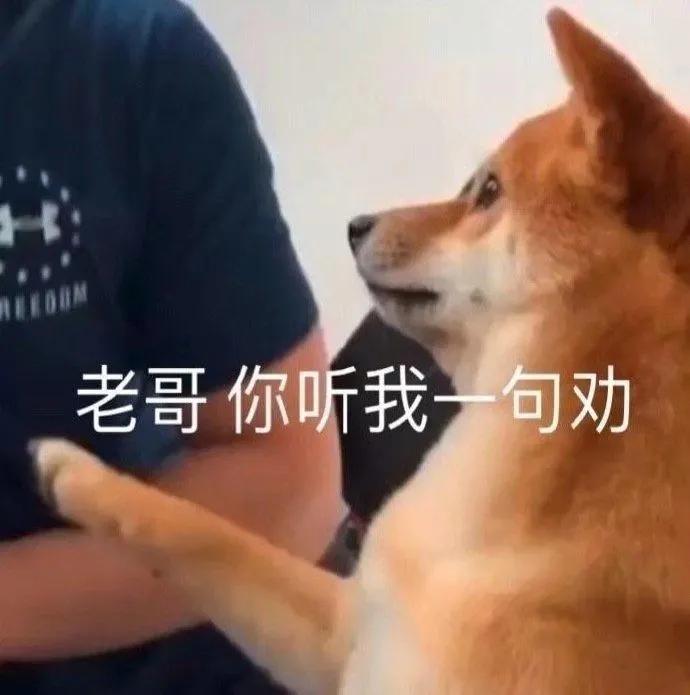 你真的知道什么是校园贷吗？