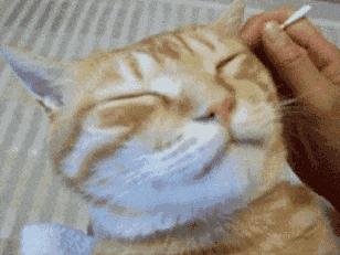 油耳朵是稀耳屎吗,油耳多久掏一次耳屎比较好