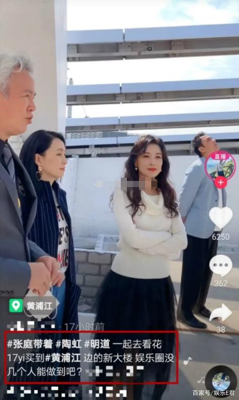 张庭多家内地公司注销,深度分析张庭微商