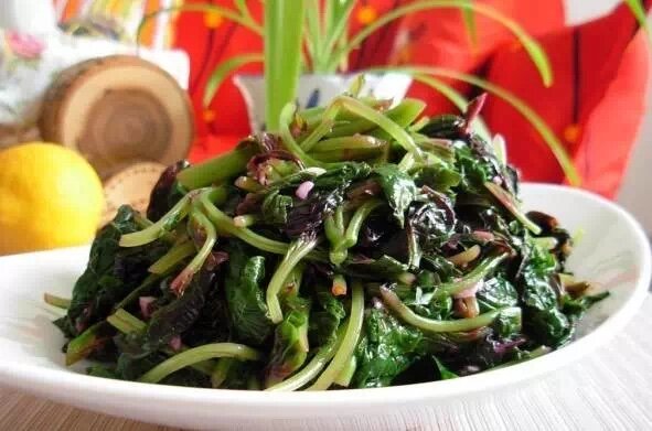 上山挖的野菜又美味又营养,大山里美味的野菜野生药材