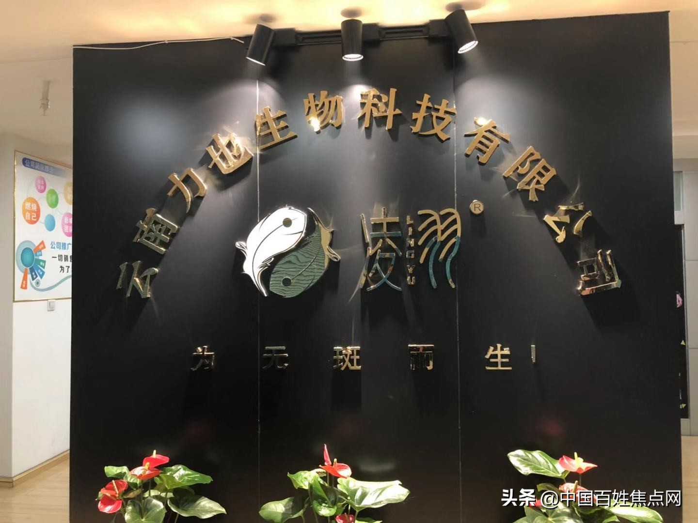 云南力也生物科技有限公司入选央视《时代风向标》栏目