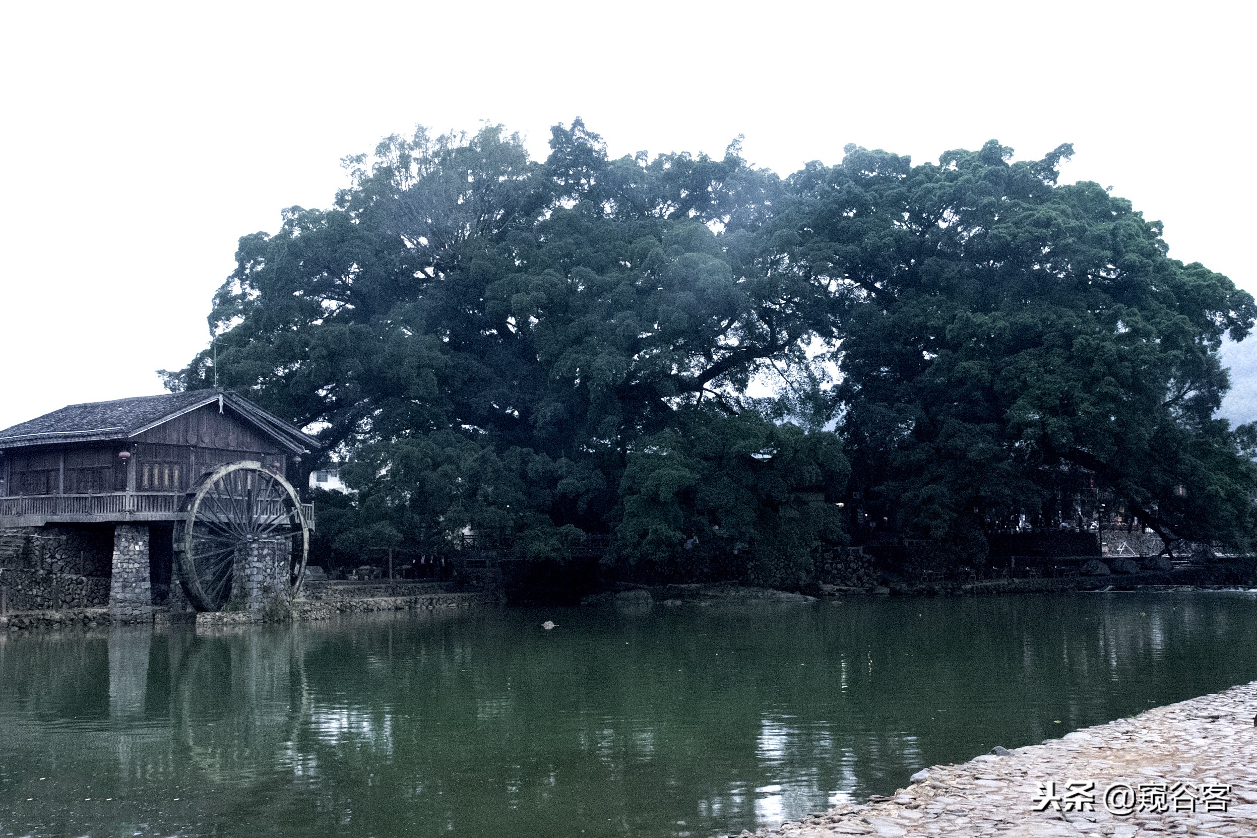 不可错过的英文歌,不可错过的云水谣