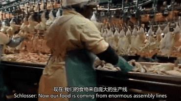 因为一个汉堡，她亲眼看着儿子死去！美国工薪阶层吃的食物有多脏