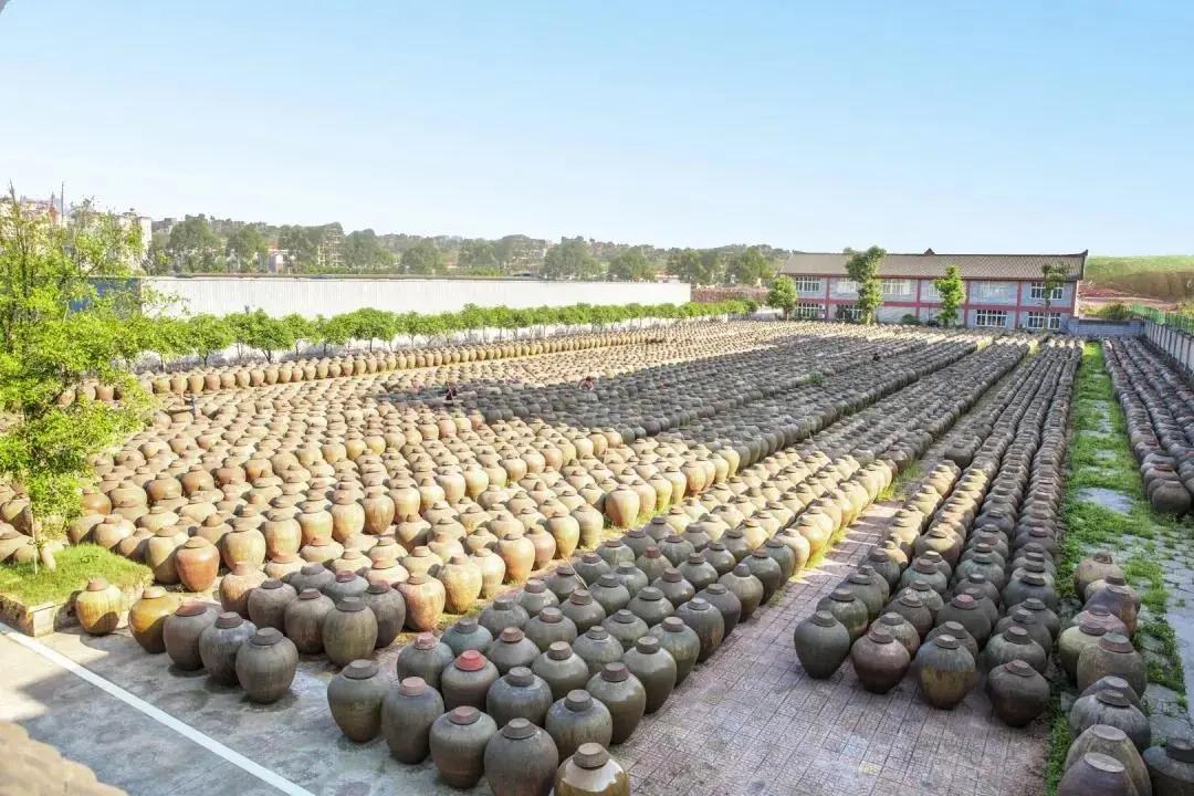 可以带走的泸州特色土特产,泸州好吃不贵的美食推荐