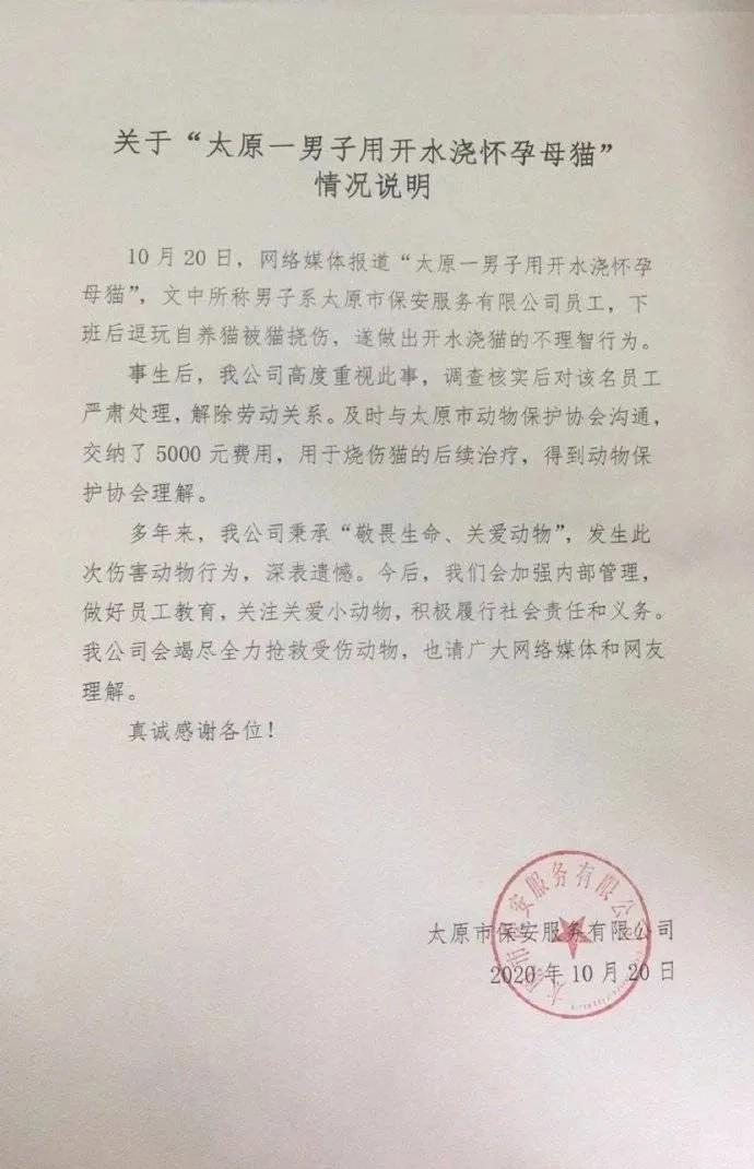 男子当街踢死小猫后续上海,小猫被小男孩虐待暴打