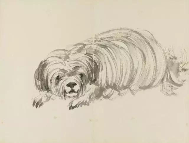 徐悲鸿彩色金币十二生肖大全套,徐悲鸿12生肖详解