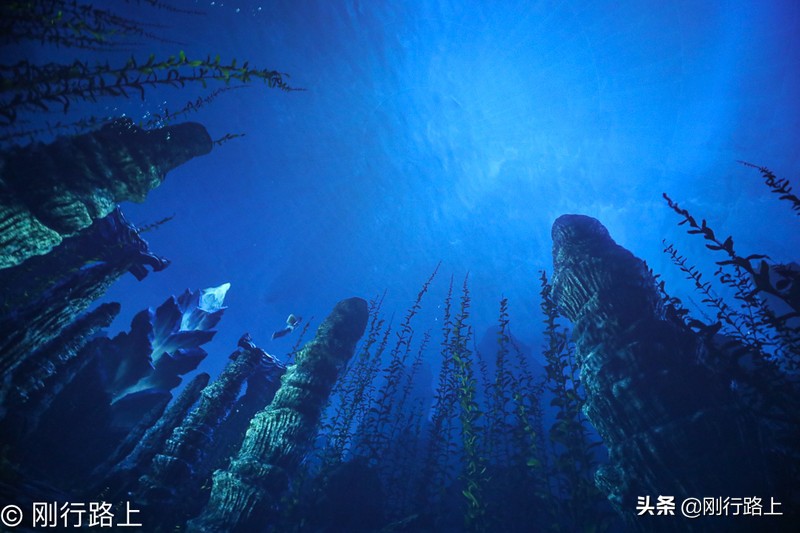 湖南长沙哪的室内游乐场好玩,长沙冬季晚上可以玩的游乐场