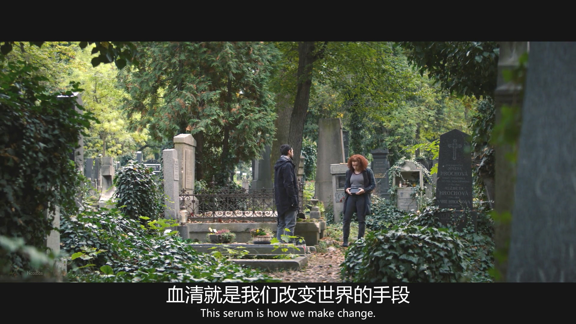 朵拉护卫队名场面,朵拉护卫队高燃