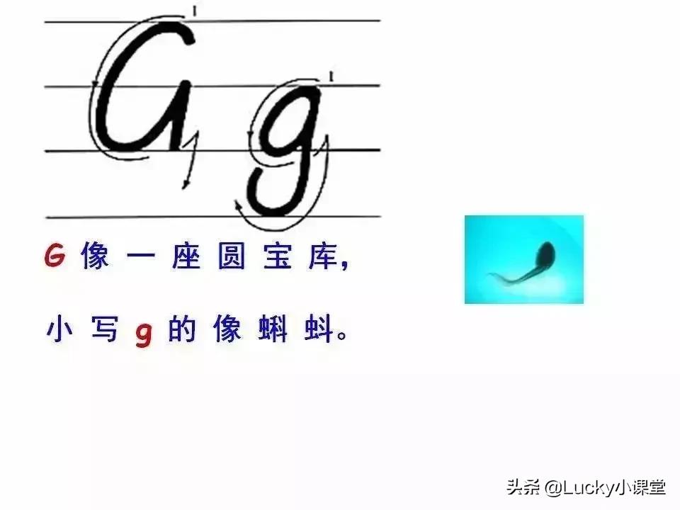 英语字母书写小知识,英语字母书写规范讲解