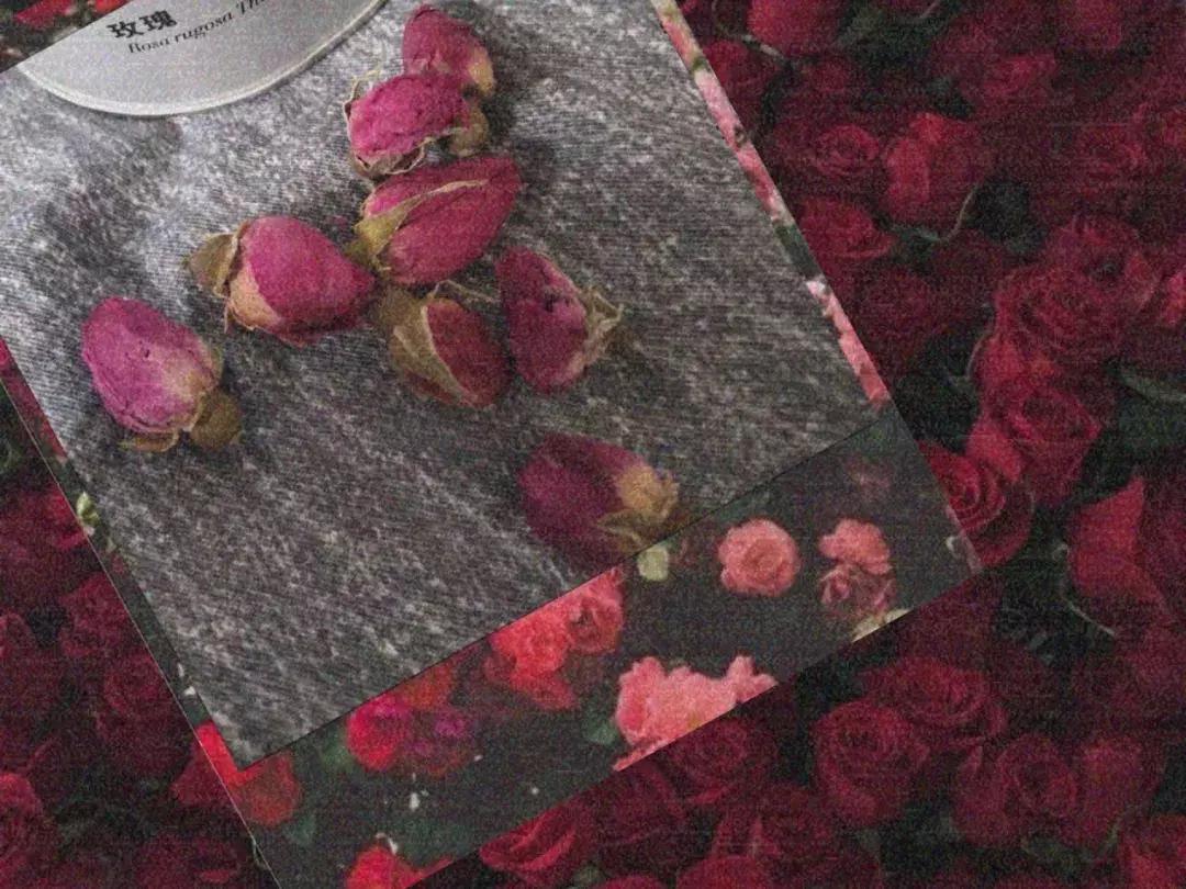 我的第一双皮鞋,我的第一双小皮鞋