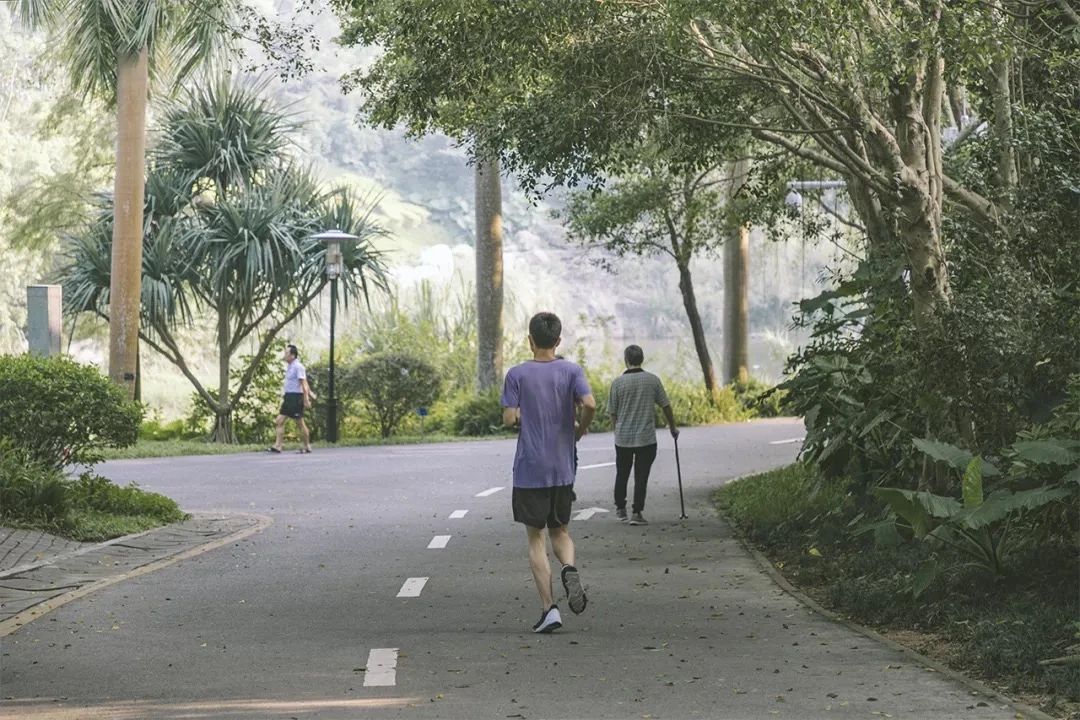 深圳龙华适合小孩子玩的免费景点,深圳适合一日游好玩的地方推荐