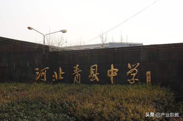 河北沧州高中排名前十的学校,沧州地区有哪些私立高中比较好