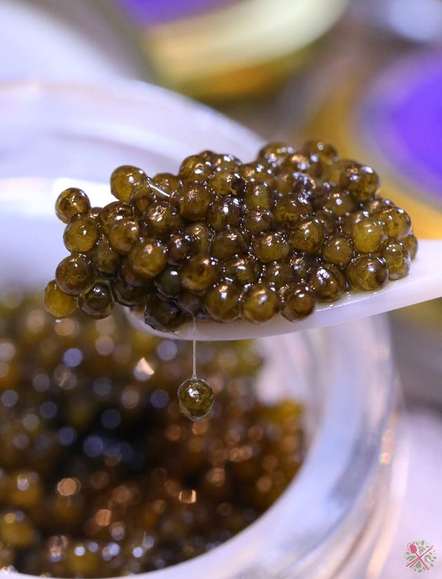 清蒸鲟龙鱼鱼子酱,三大美食鲟鱼鱼子酱