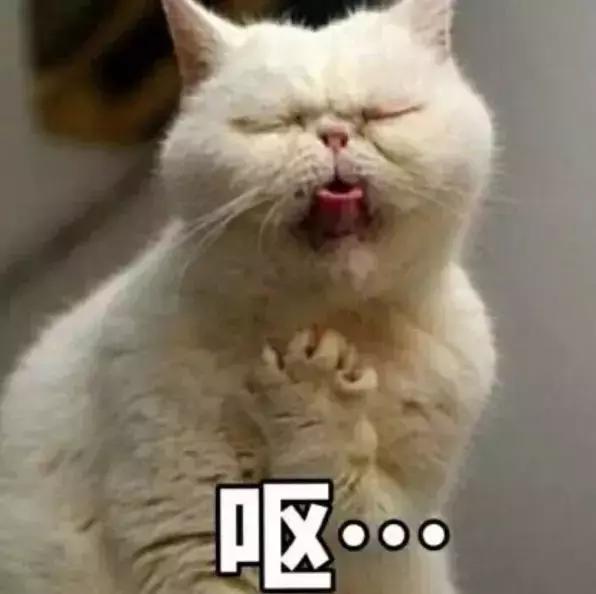 我要疯了我该怎么办,我要疯了怎么办