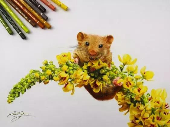 彩铅如何画得非常细腻,彩铅画的很好看零基础