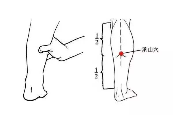 缓解腿疼的最佳按摩穴位,腿痛穴位的准确位置图