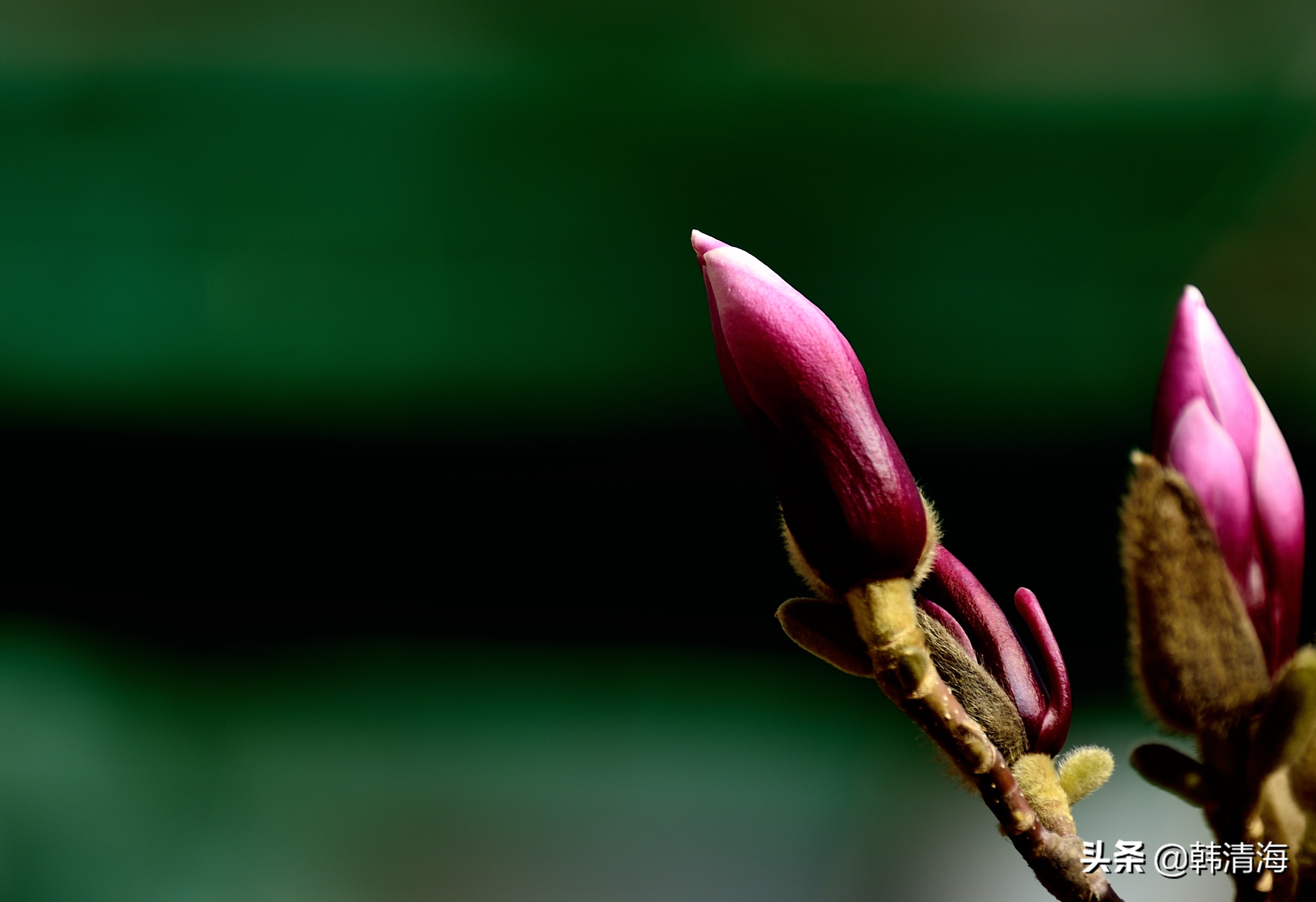 天津南开水畔花园洋房,天津南开区水畔花园