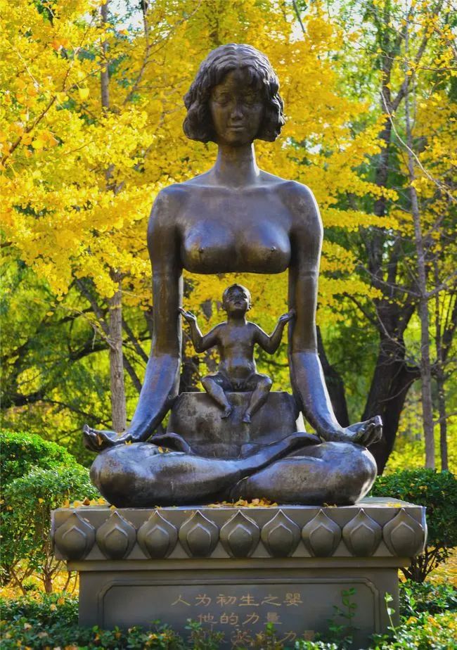 济南免费遛娃的地方,济南市十一带娃游玩好去处