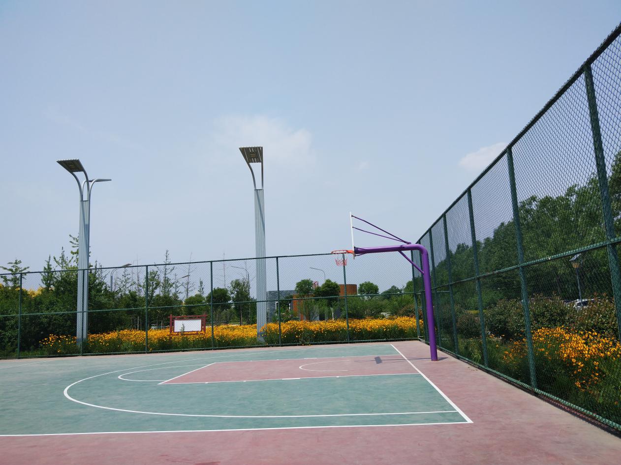 喜欢阳光下奔跑，e2车主的美好生活