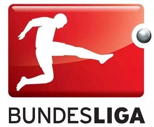 50+1德甲什么意思,50+1德甲