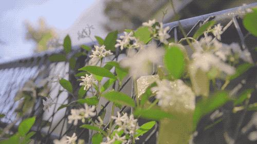 花王洗衣液推荐,洗衣液国货测评