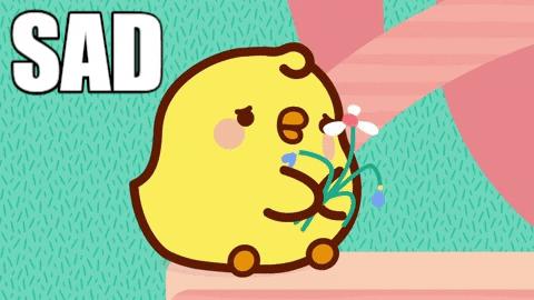 鸡禽流感h5和h7的表现症状,鸡患禽流感的发病初期怎么治疗