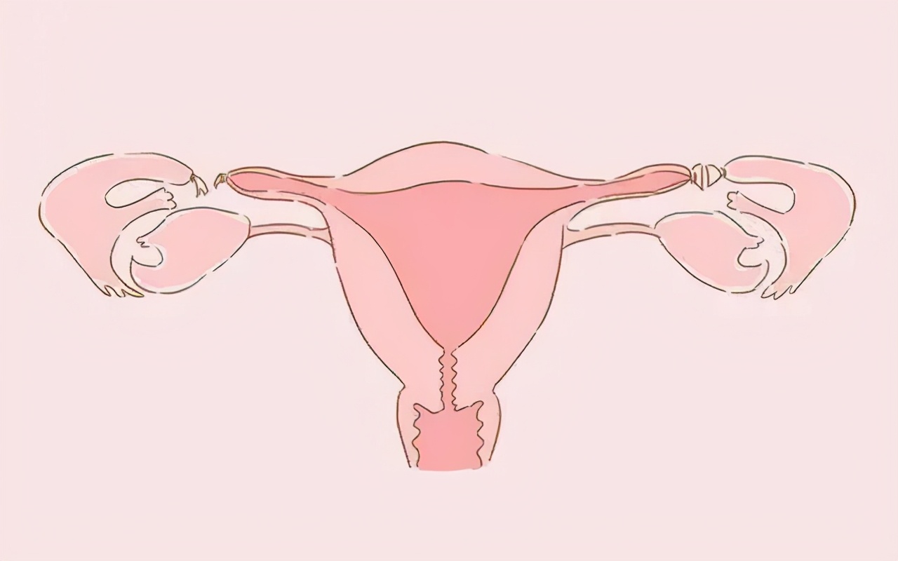 这个小玩意不仅能防“意外”，还能治疗妇科病