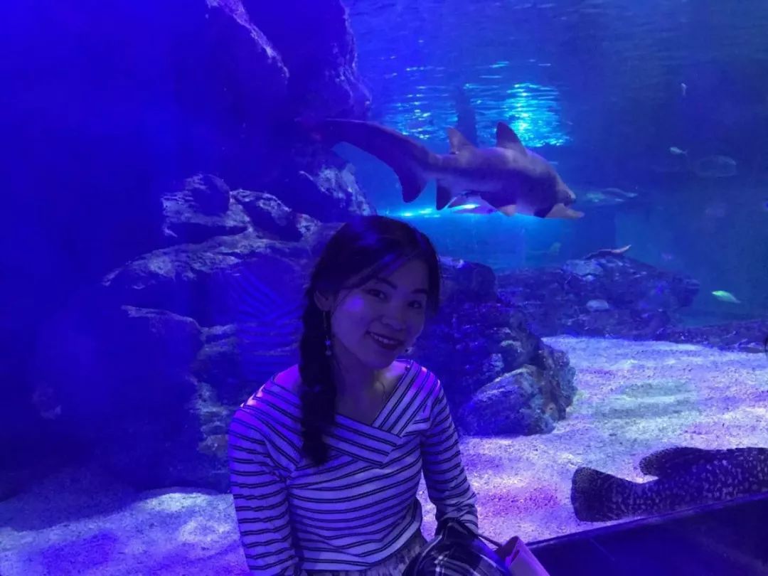 首尔釜山怎么玩？最全旅*行游**程攻略（7天）都在这里了