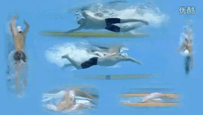 自由泳怎么才能长期游,为什么有人自由泳划手不快游得快