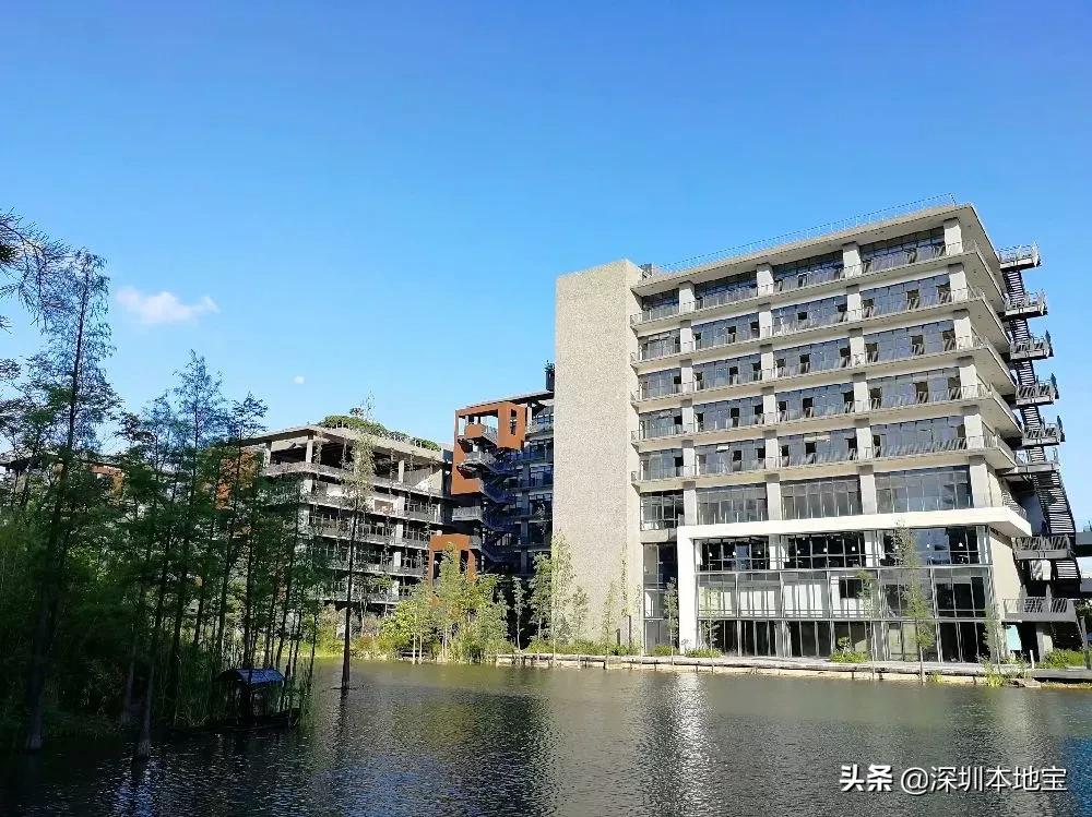 深圳完全免费的十大景点,深圳10大免费景点上集