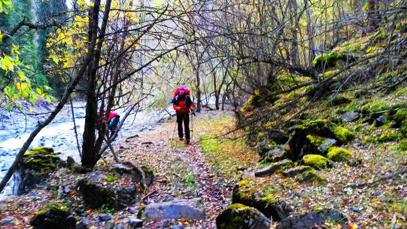 带上UL从狼塔C回家