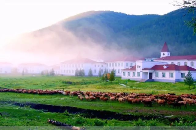 阿勒泰秋季旅行,新疆旅行阿勒泰秋天