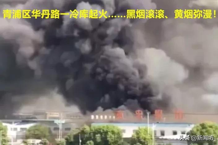 好玩变玩完！沪一男子一把火，烧掉3770万！理由实在瞠目结舌