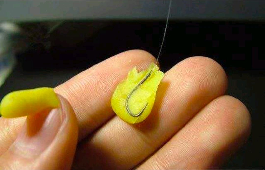 手竿钓鲢鳙抓口太难？老钓友:与手速无关，做好一点只管抄鱼！