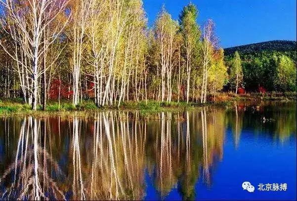 北京国家森林公园风景,画说北京故事