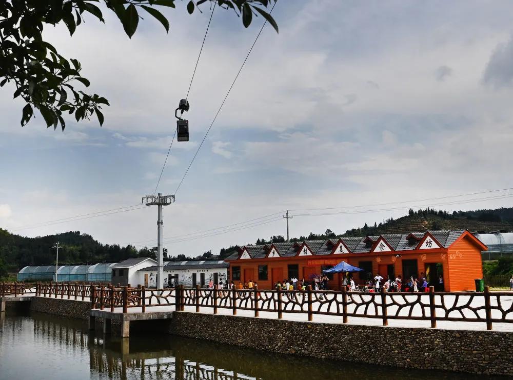 智运快线视频,智运快线怎么样了