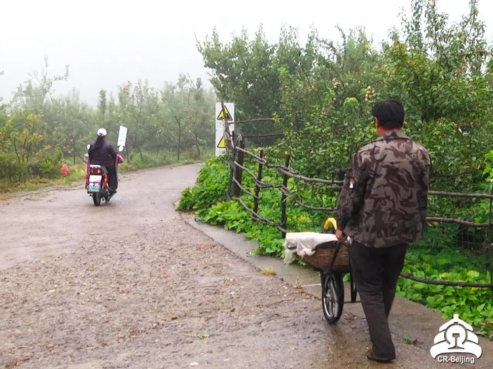 大课间你笑起来真好看舞蹈,大课间你笑起来真好看教学分解