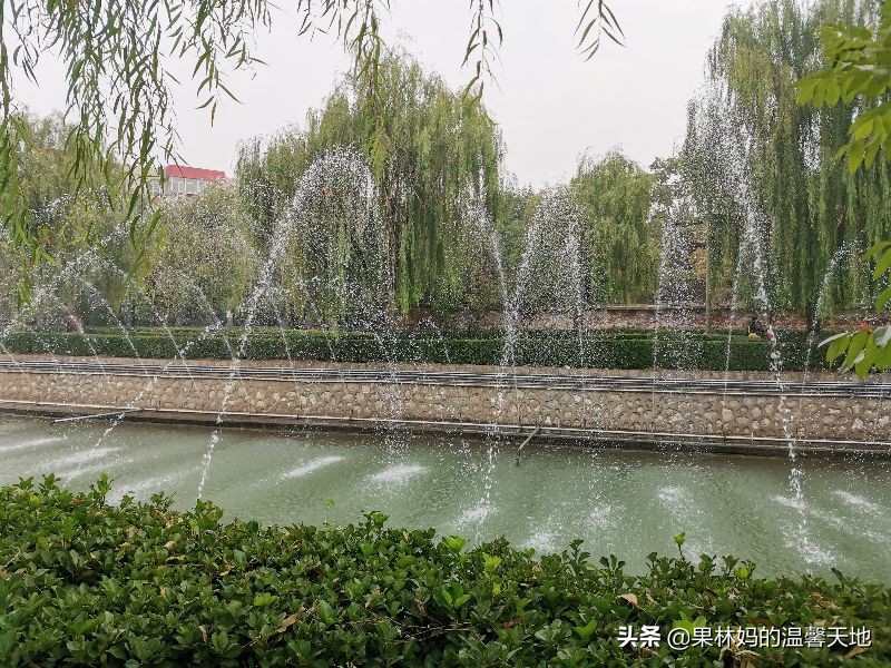 以娃的名义折腾家长怎么解决,以戏弄为目的逗孩子