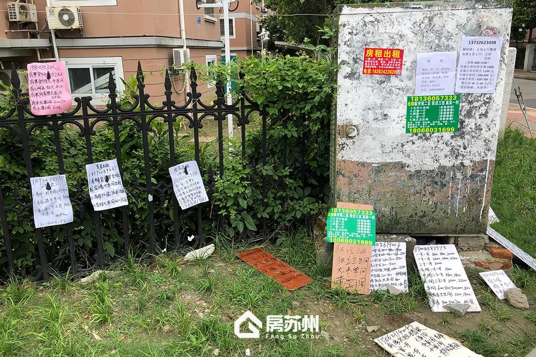 没有投资客的城市,没有投资客的楼市