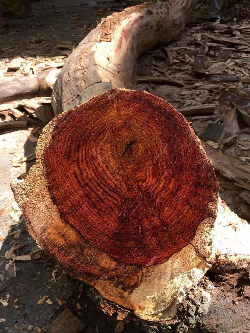 买家具价格被坑,买家具骗局套路最新