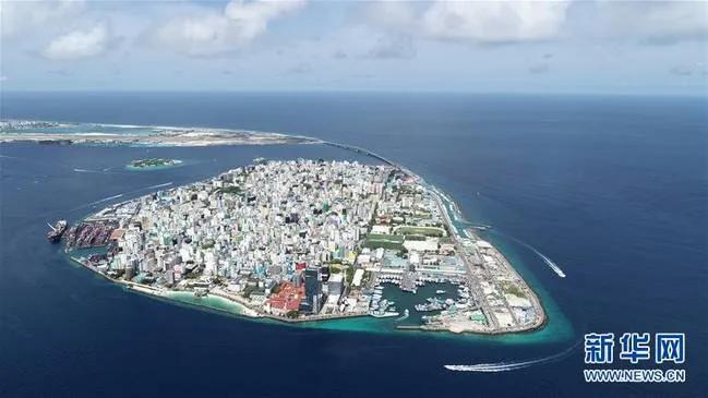 高考vs单招,高考与足球