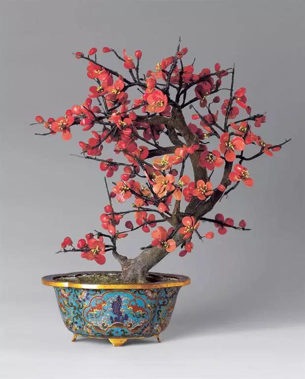 富贵吉祥的植物有哪些,最适合庭院种植的10种吉祥植物