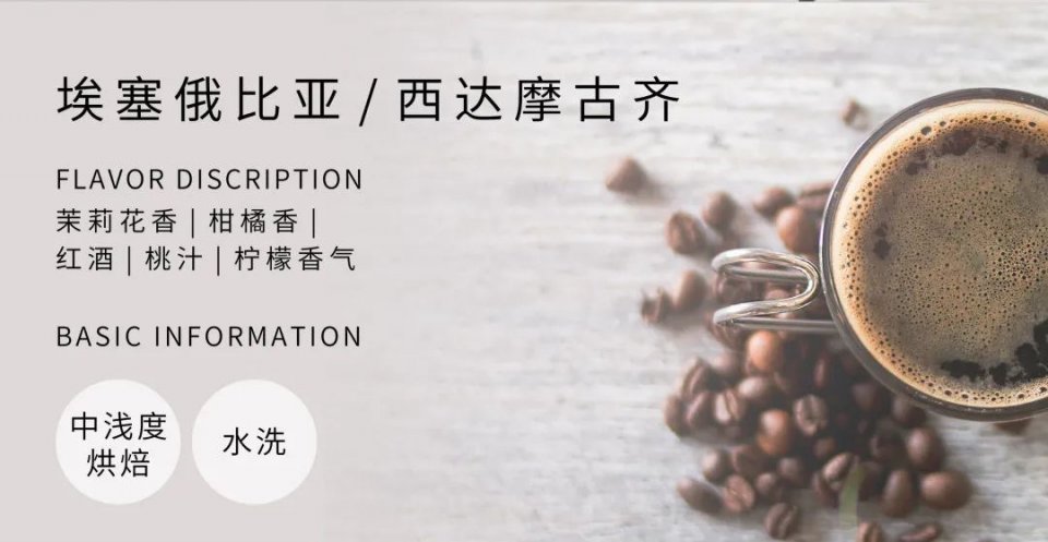 广州猫屎咖啡沙面1号店的咖啡师,沙面猫屎咖啡必打卡之地