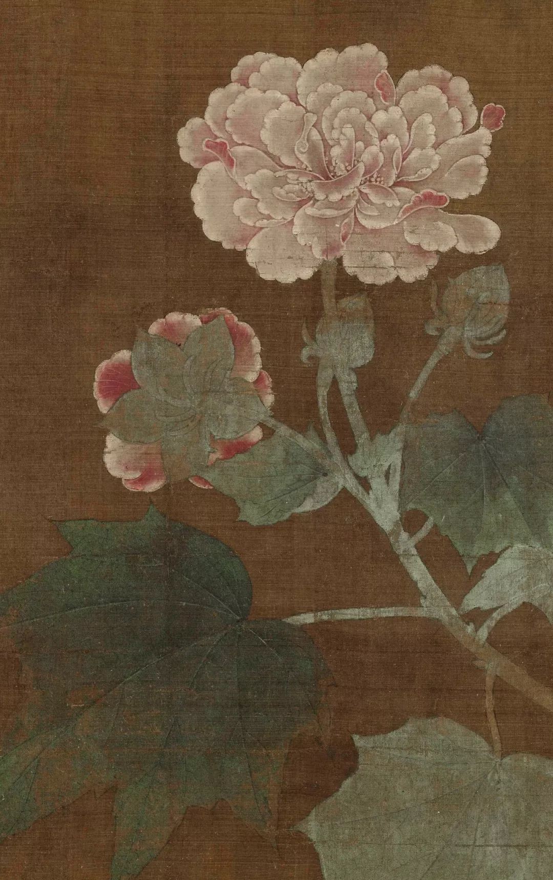 学画画最基础的从哪里学起,60岁学画画入门