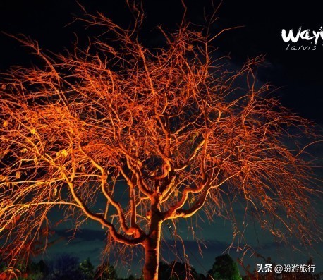 日本关西京都奈良旅游,日本关西自由行之奈良