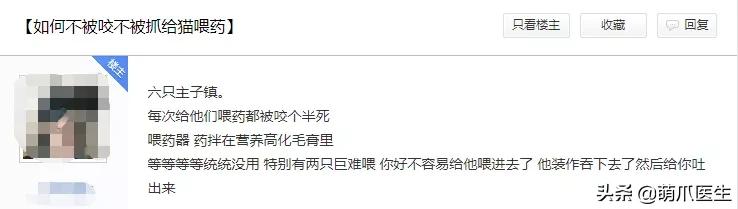 养了几年的猫有跳蚤,养了一年的猫还咬主人