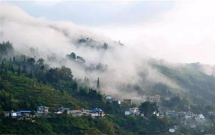 每个山头的普洱茶都有什么区别,最好的普洱茶是哪个山头的