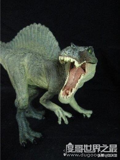 凶猛龙与恐龙大战,好凶猛的恐龙视频