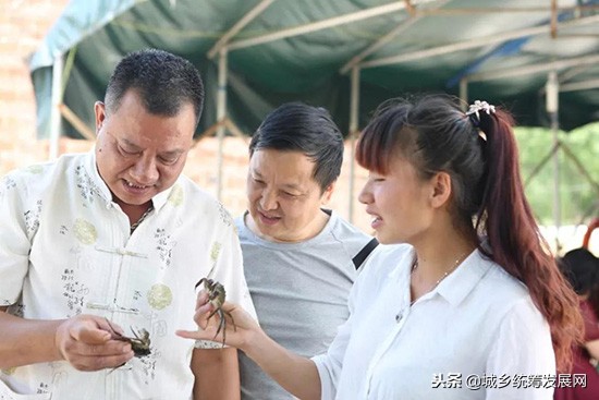 樊霞四川人,樊霞养殖
